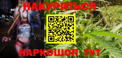 гидропоника Будённовск