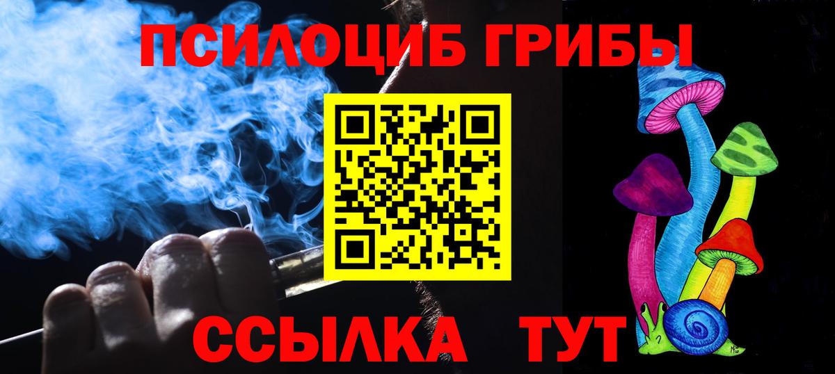 Моздок  цена наркотик  Вход с VPN  Псилоцибиновые грибы GOLDEN TEACHER 